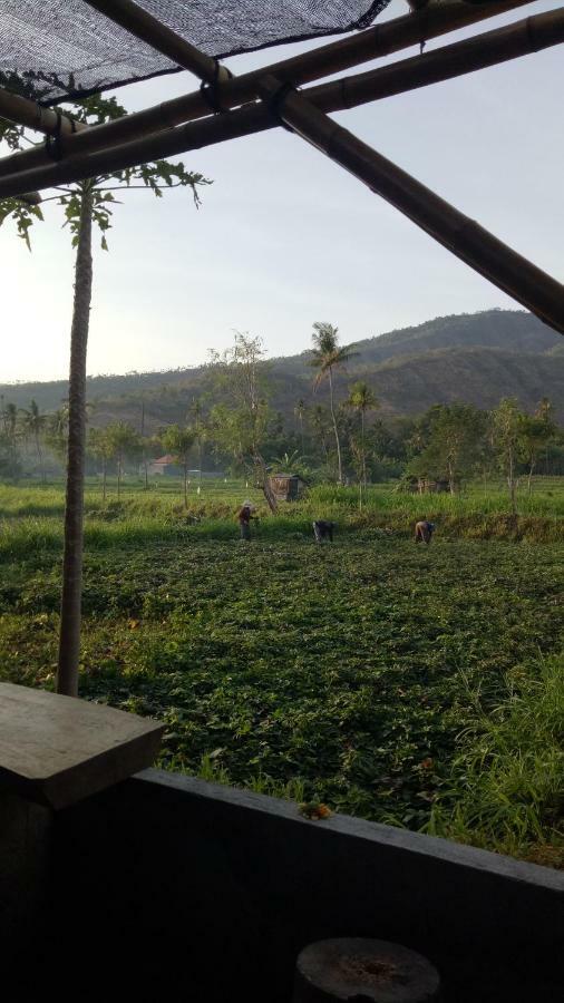 Amed Stop Inn Homestay, Rooftop Restaurant And Bar Exterior foto